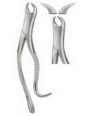 Tooth Extracting Forceps  